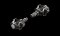 Garmin Rally XC200, Leistungsmesser mit Dualsensor