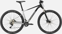 Cannondale 29 M Trail SL 4  | Grey