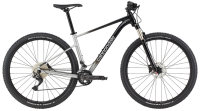 Cannondale 29 M Trail SL 4 - 2023 | Grey