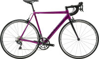 Cannondale CAAD12 Ultegra | Deep Purple