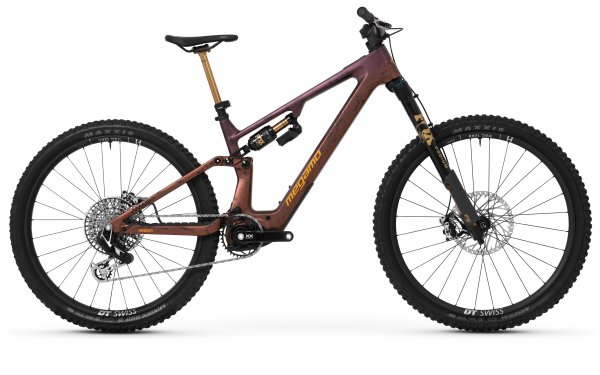AMBER BROWN