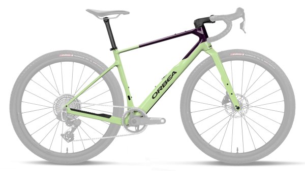Acid Gum - Fantasy Purple Carbon View (Gloss)
